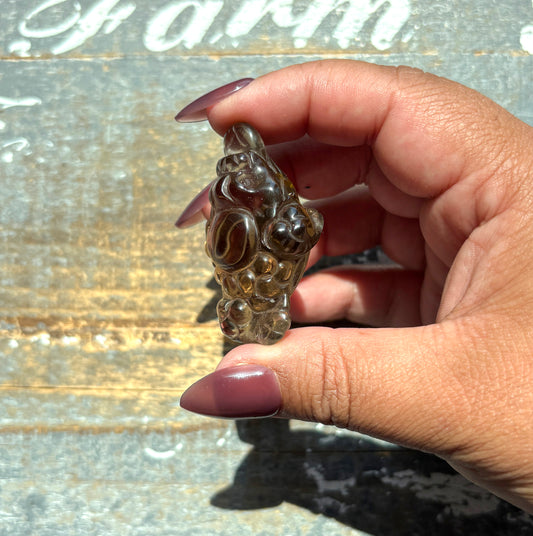 Gorgeous Natural Smokey Quartz Money Toad | Money Manifester | Opt A