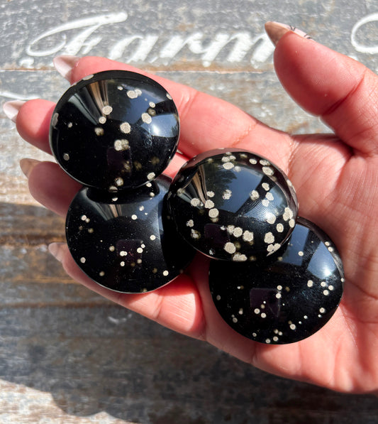 One (1) Gorgeous Stardust Obsidian Medallion | Mexico | Denver Gem Show Find