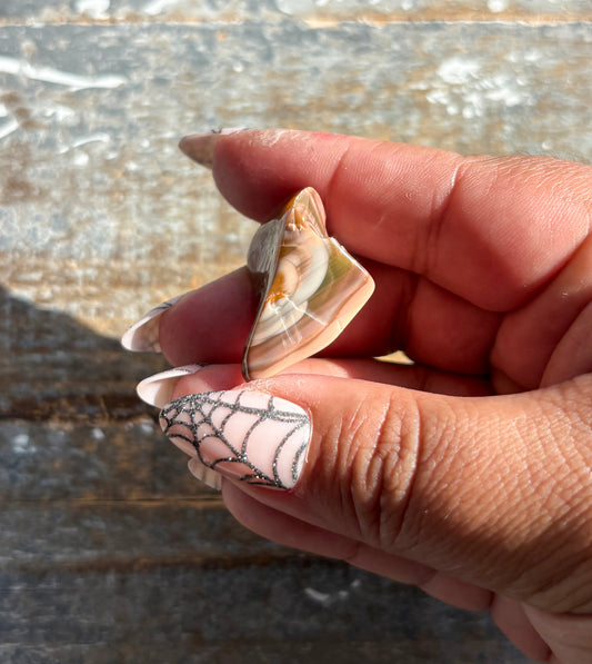 Gorgeous Imperial Jasper Tumble Opt X | Mexico | Denver Gem Show Find