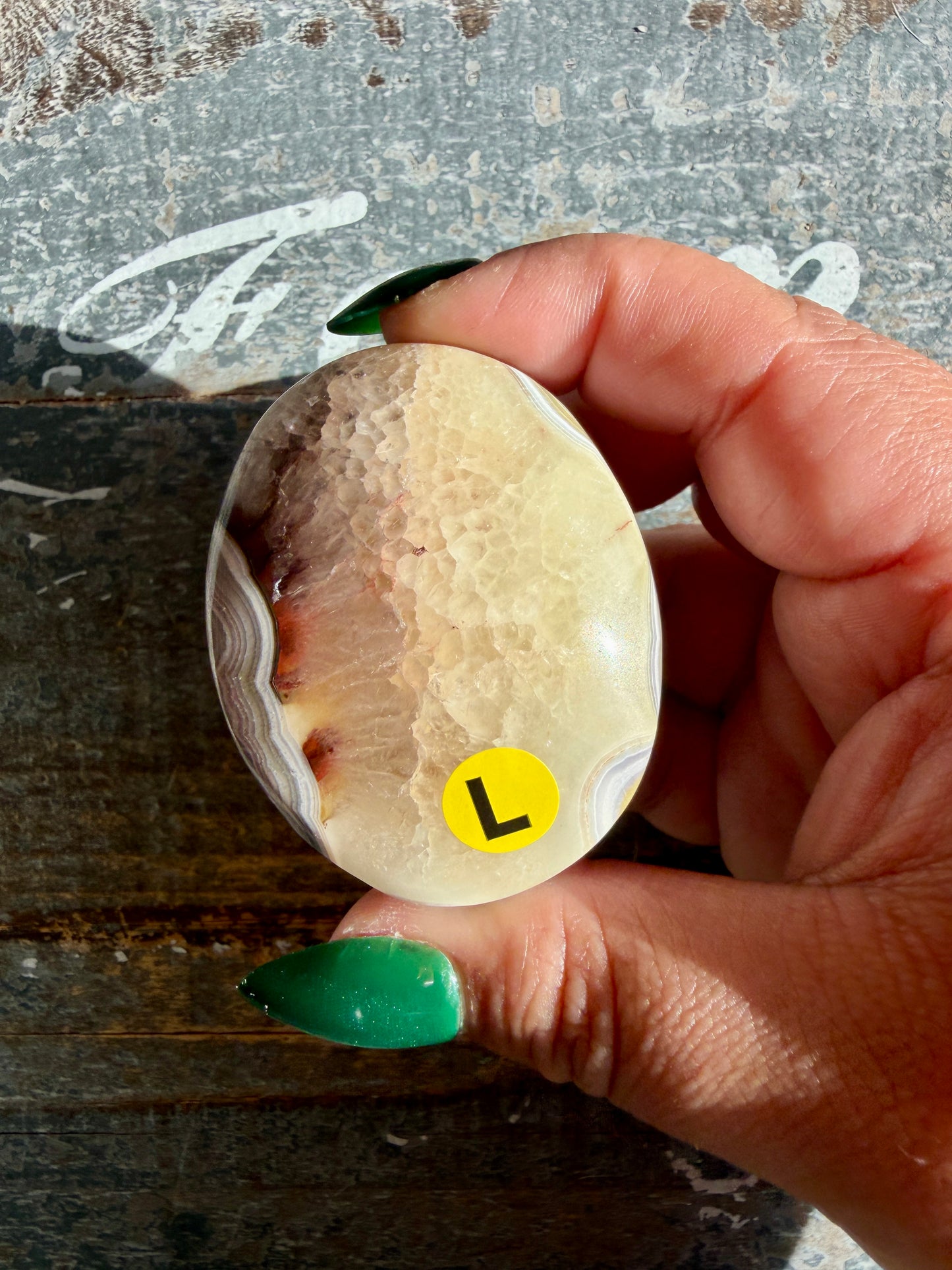 Gorgeous Crazy Lace Agate Palm Stone | Opt L