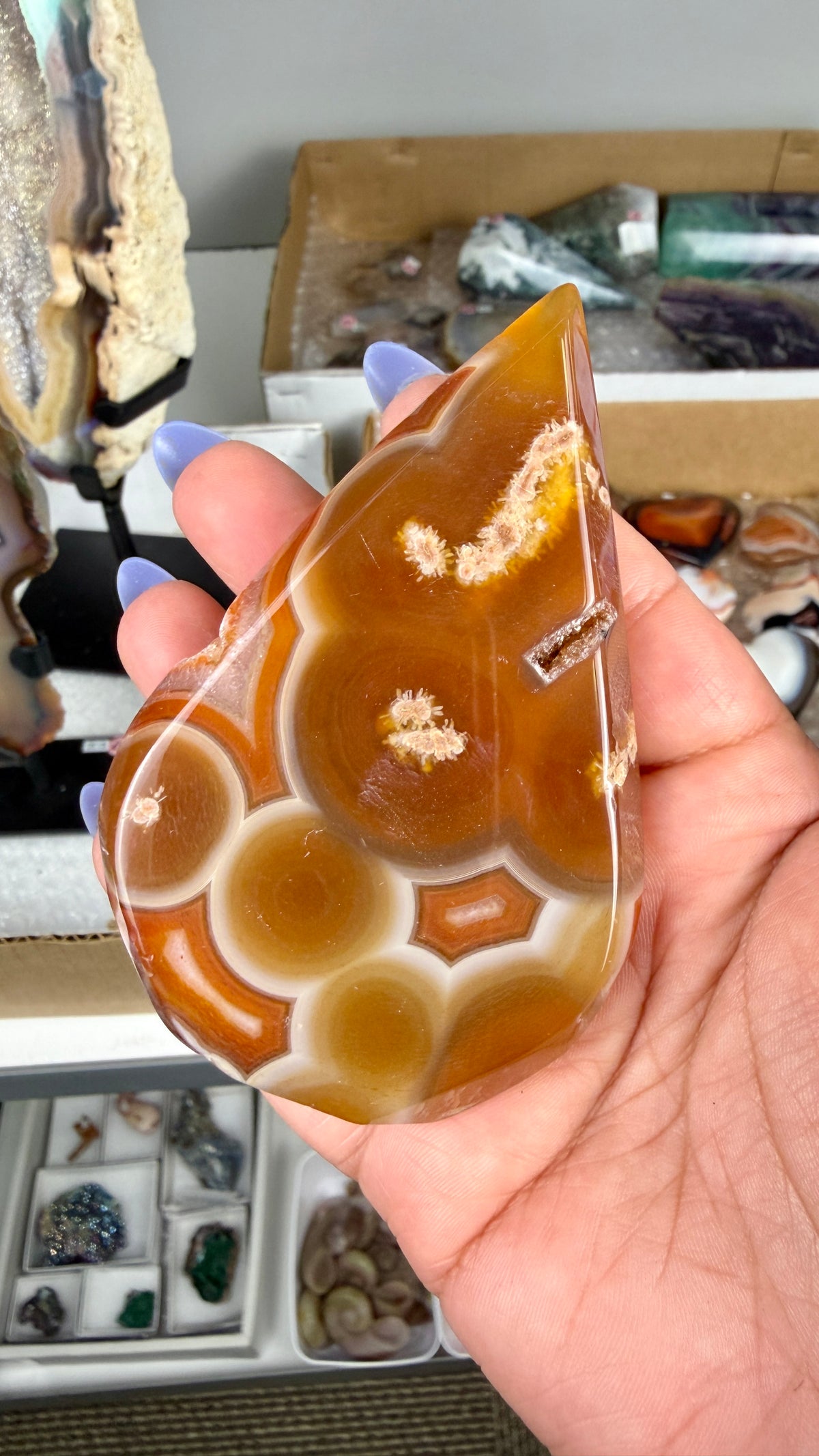 Gorgeous Banded Agate Tear Drop | Opt 87 (PRICE)