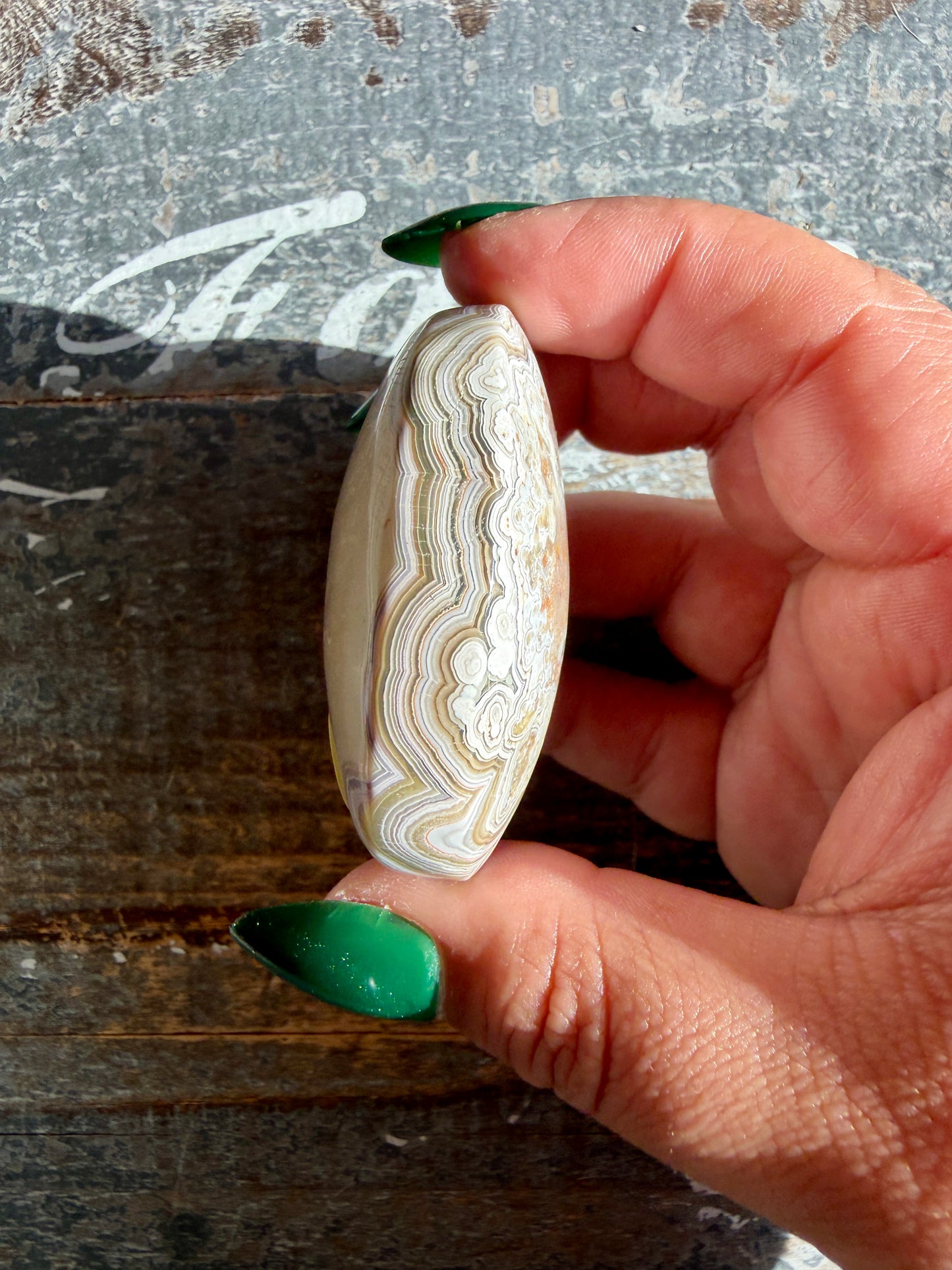 Gorgeous Crazy Lace Agate Palm Stone | Opt L