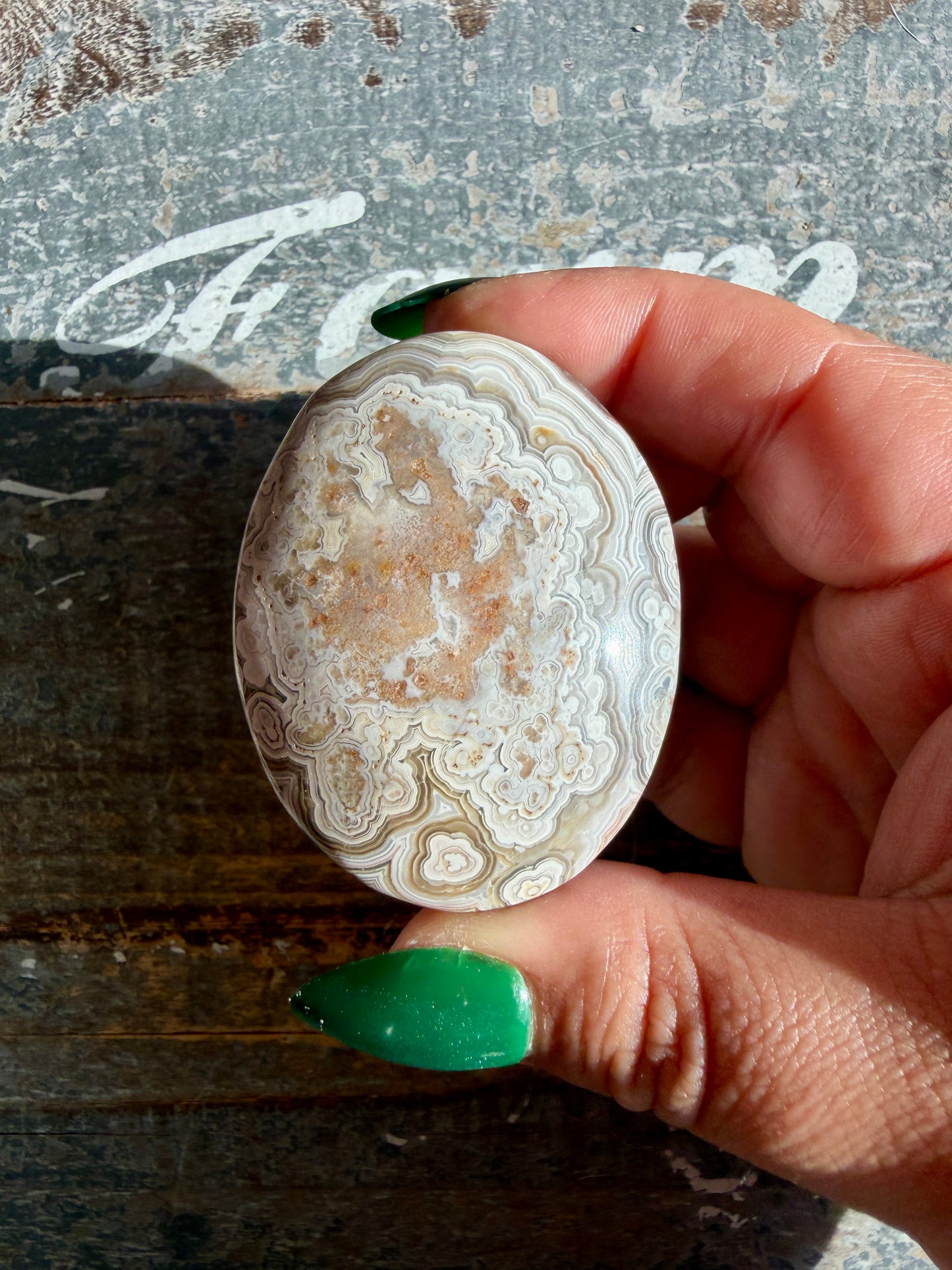 Gorgeous Crazy Lace Agate Palm Stone | Opt L