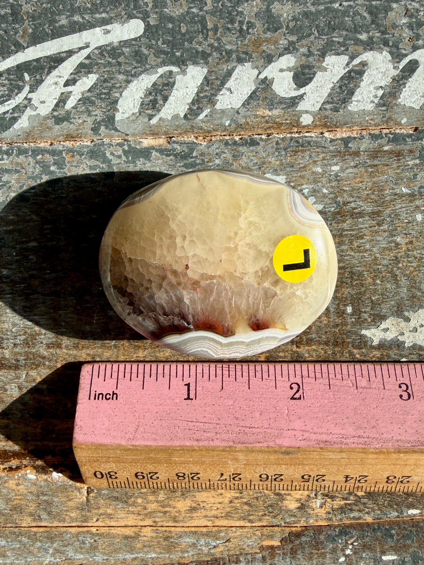 Gorgeous Crazy Lace Agate Palm Stone | Opt L