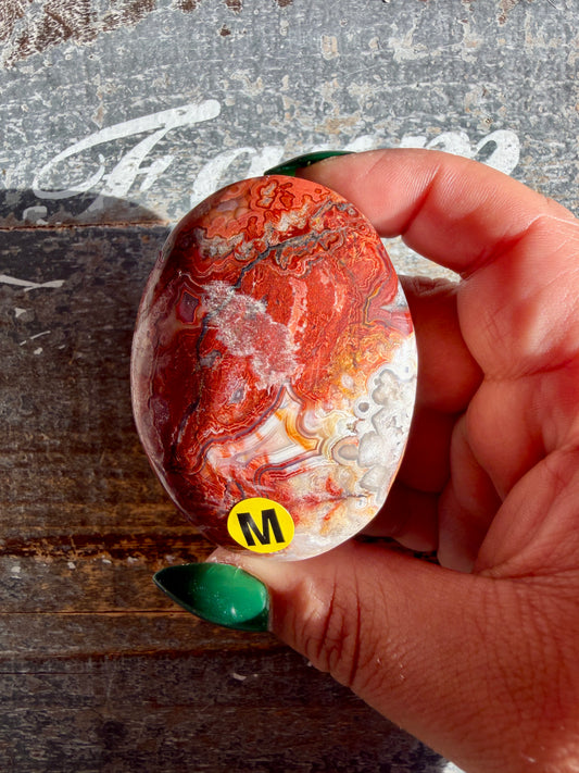 Gorgeous Crazy Lace Agate Palm Stone | Opt M