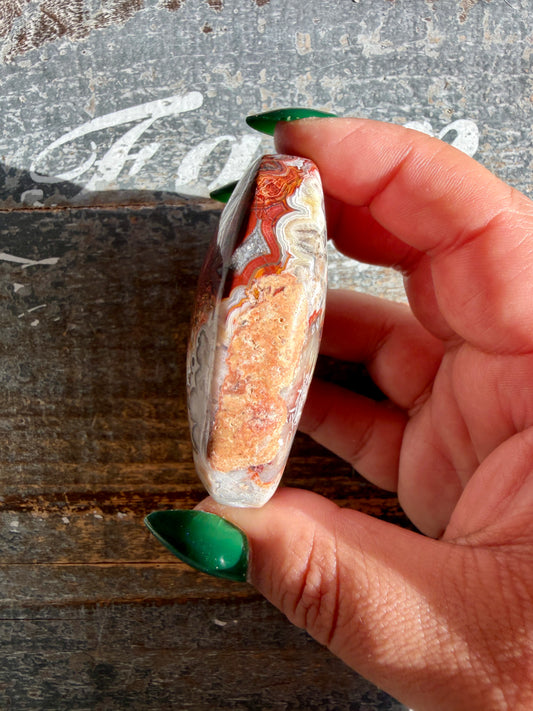 Gorgeous Crazy Lace Agate Palm Stone | Opt M