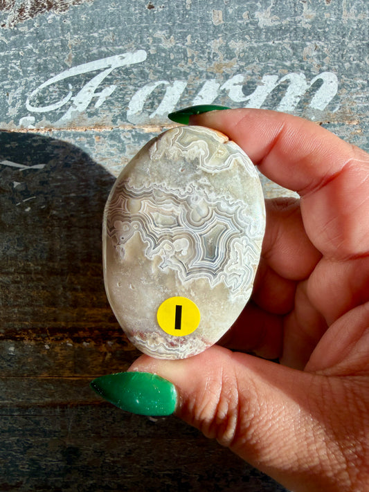 Gorgeous Crazy Lace Agate Palm Stone | Opt I