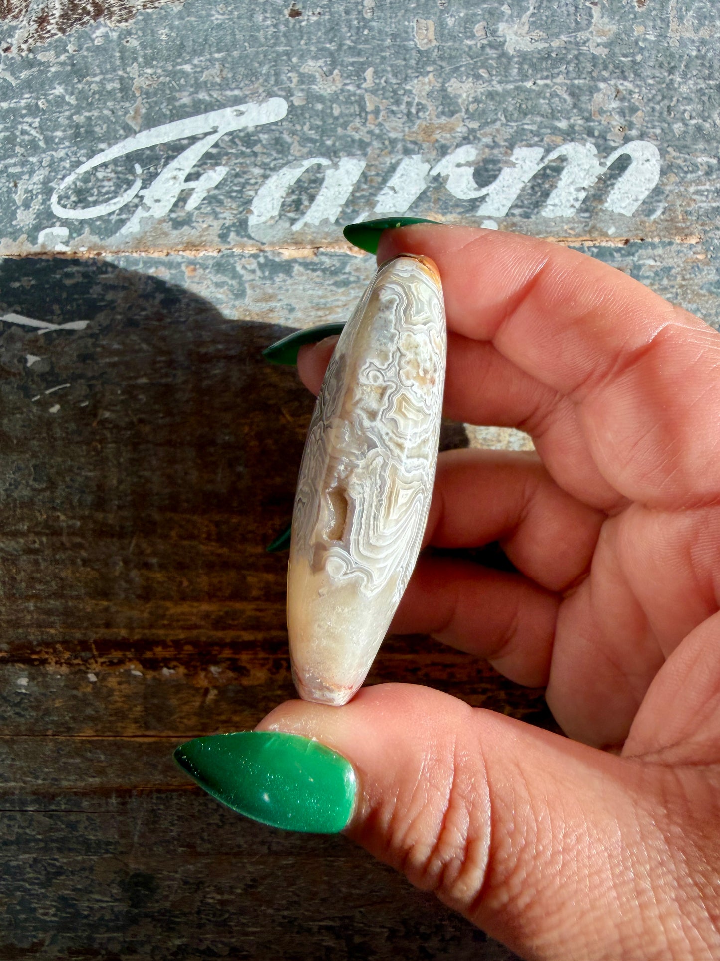 Gorgeous Crazy Lace Agate Palm Stone | Opt I