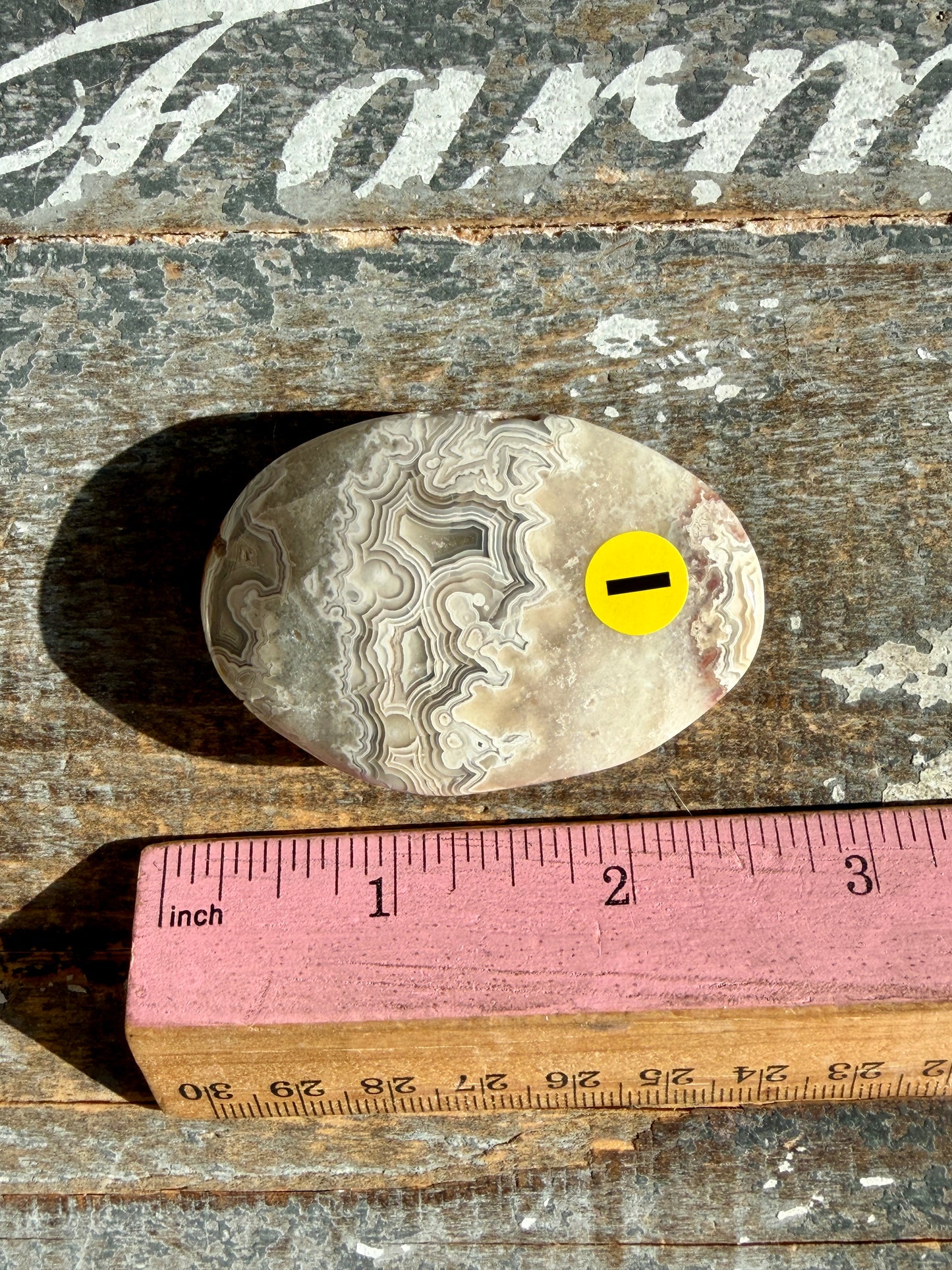 Gorgeous Crazy Lace Agate Palm Stone | Opt I