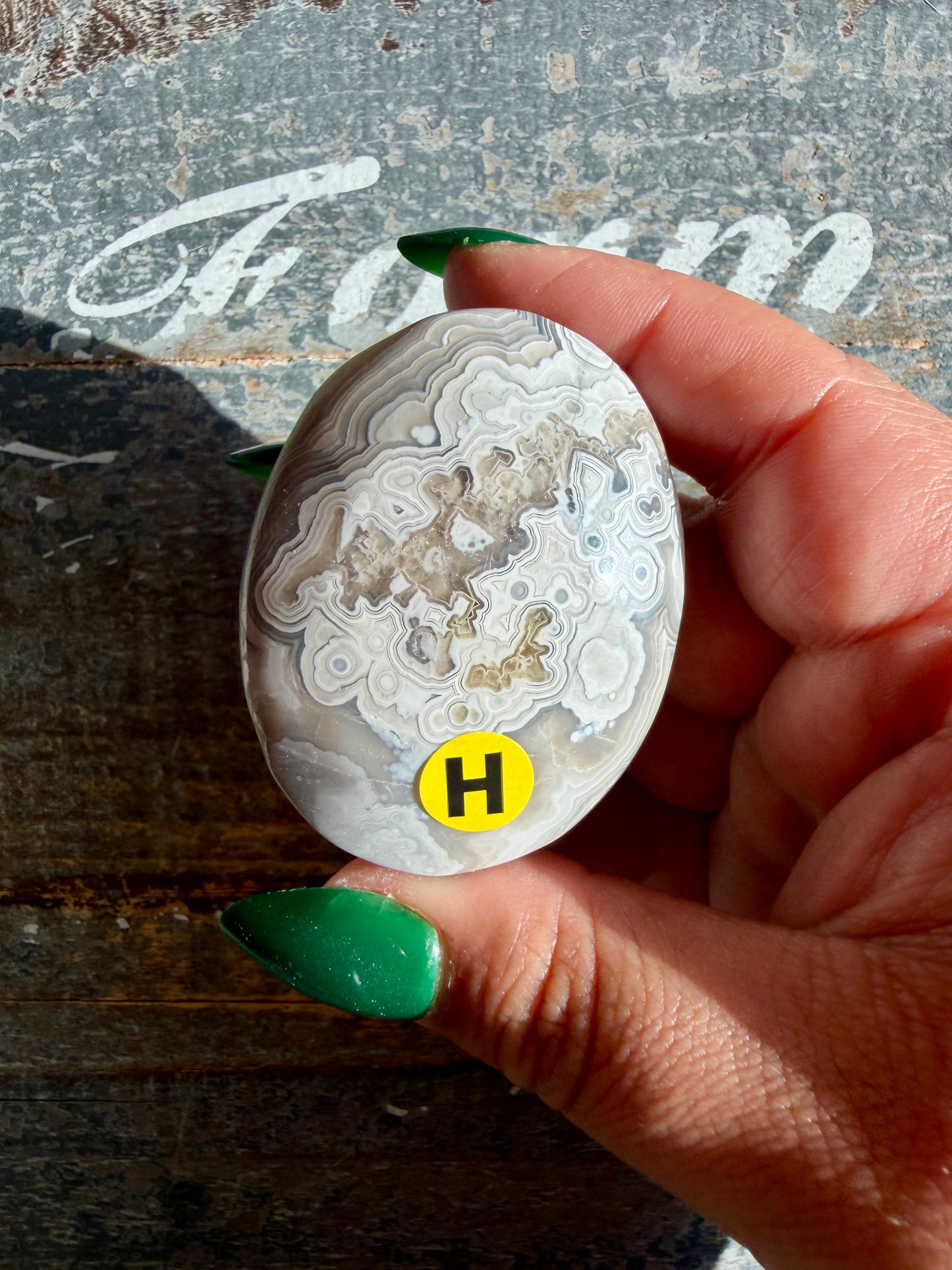 Gorgeous Crazy Lace Agate Palm Stone | Opt H