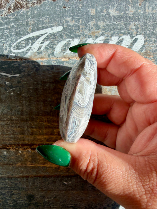 Gorgeous Crazy Lace Agate Palm Stone | Opt H