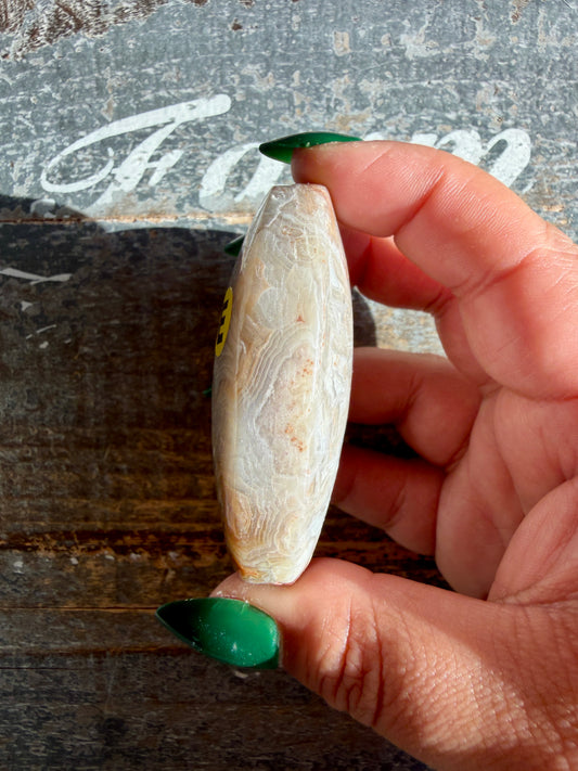 Gorgeous Crazy Lace Agate Palm Stone | Opt E