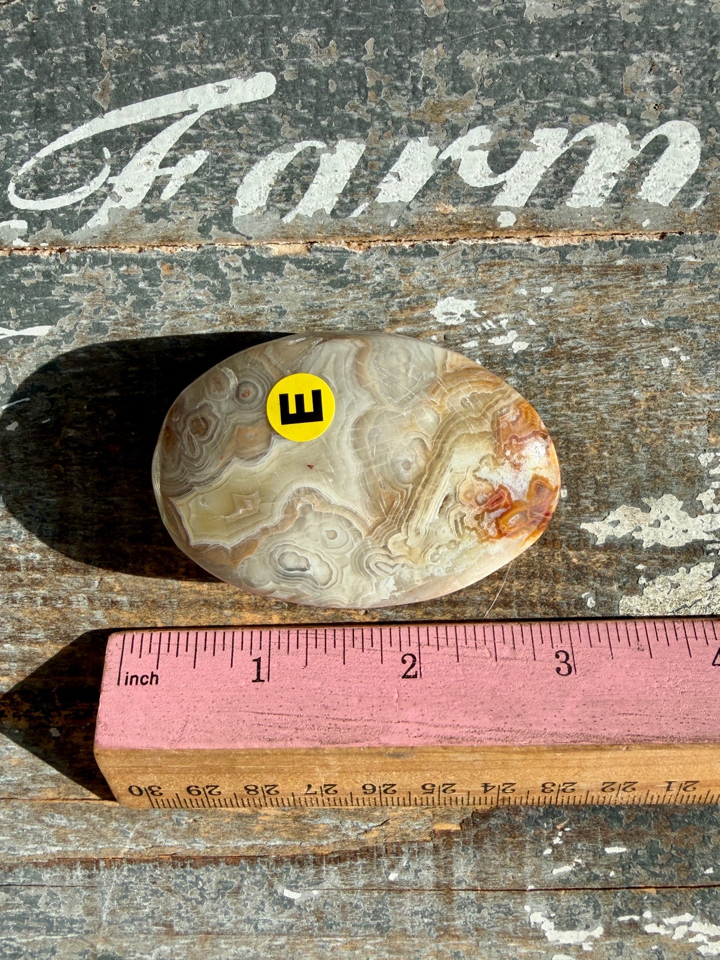 Gorgeous Crazy Lace Agate Palm Stone | Opt E