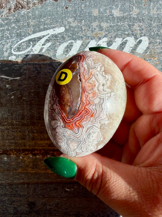 Gorgeous Crazy Lace Agate Palm Stone | Opt D