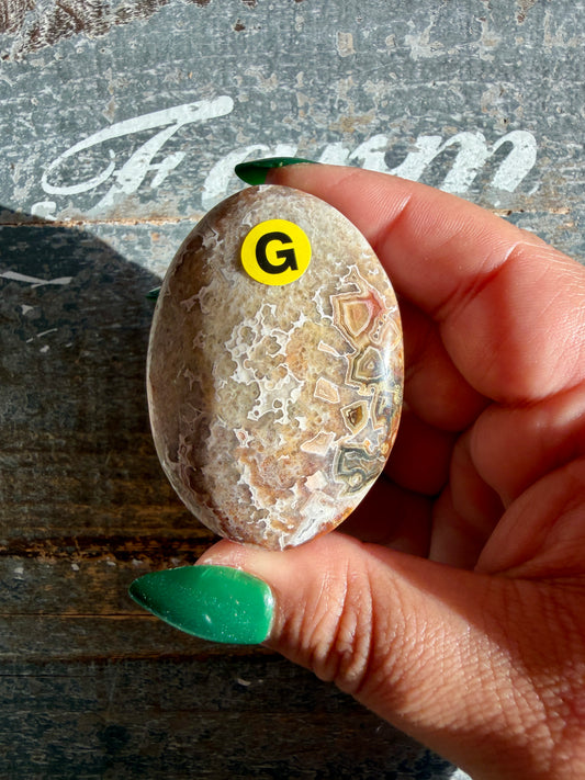 Gorgeous Crazy Lace Agate Palm Stone | Opt G