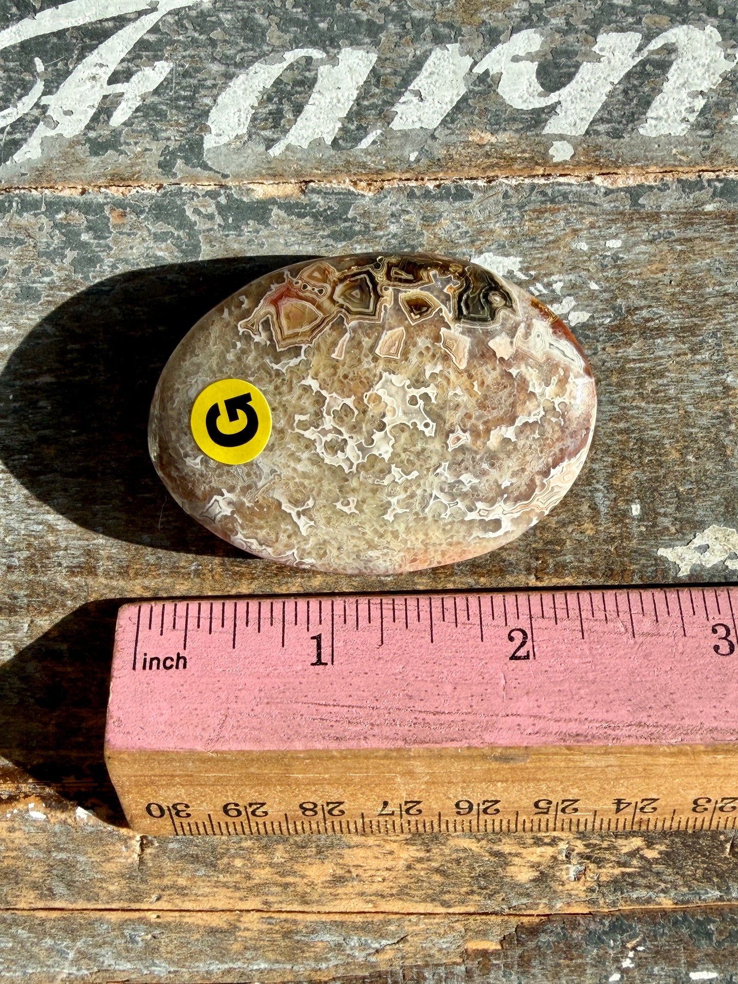 Gorgeous Crazy Lace Agate Palm Stone | Opt G