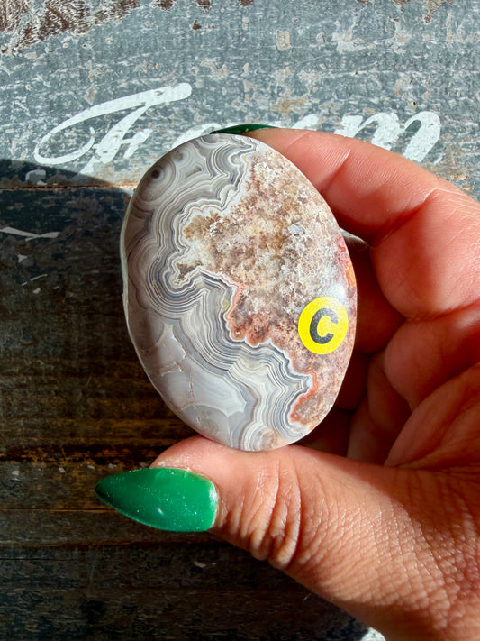 Gorgeous Crazy Lace Agate Palm Stone | Opt C