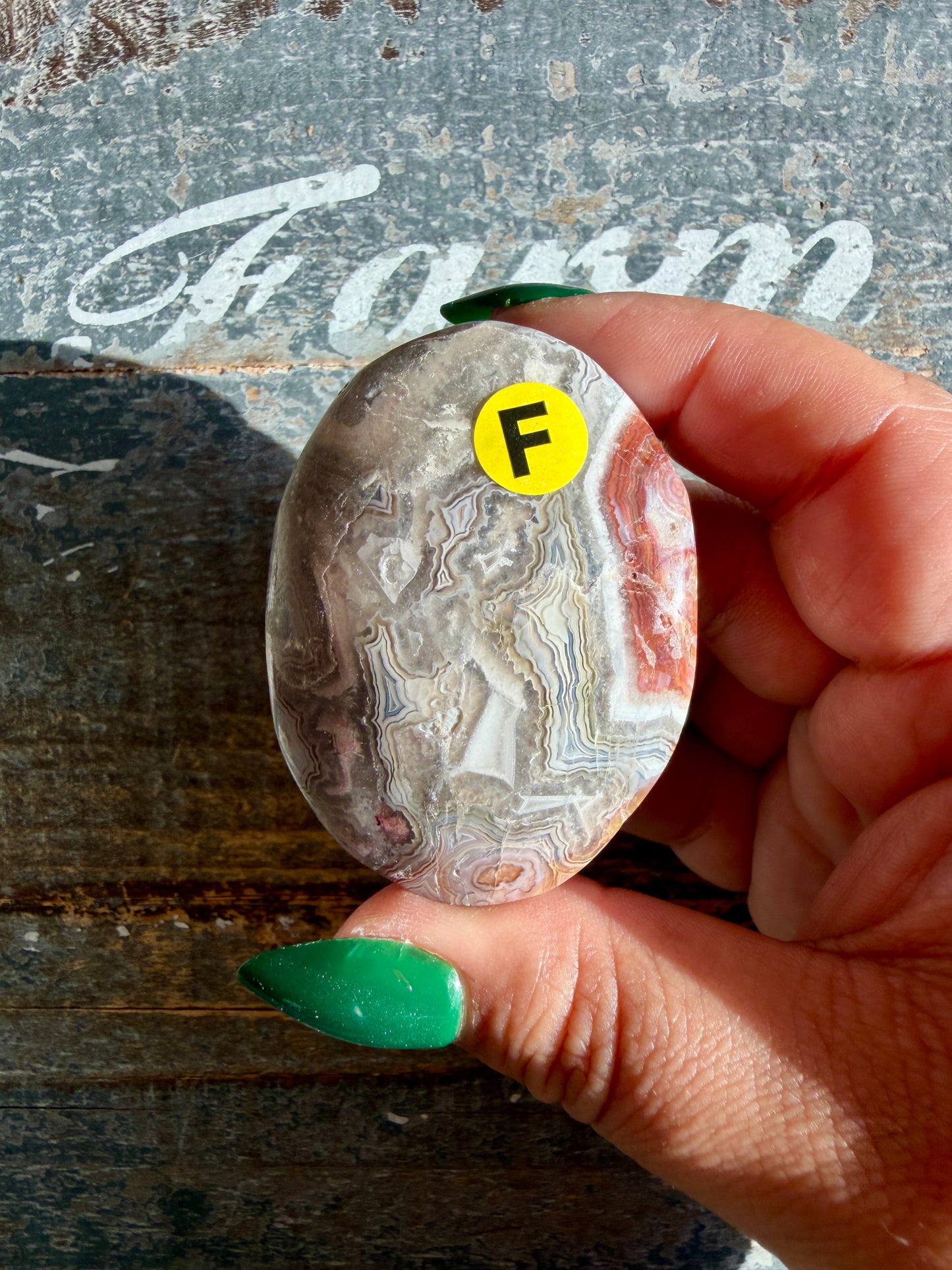 Gorgeous Crazy Lace Agate Palm Stone | Opt F