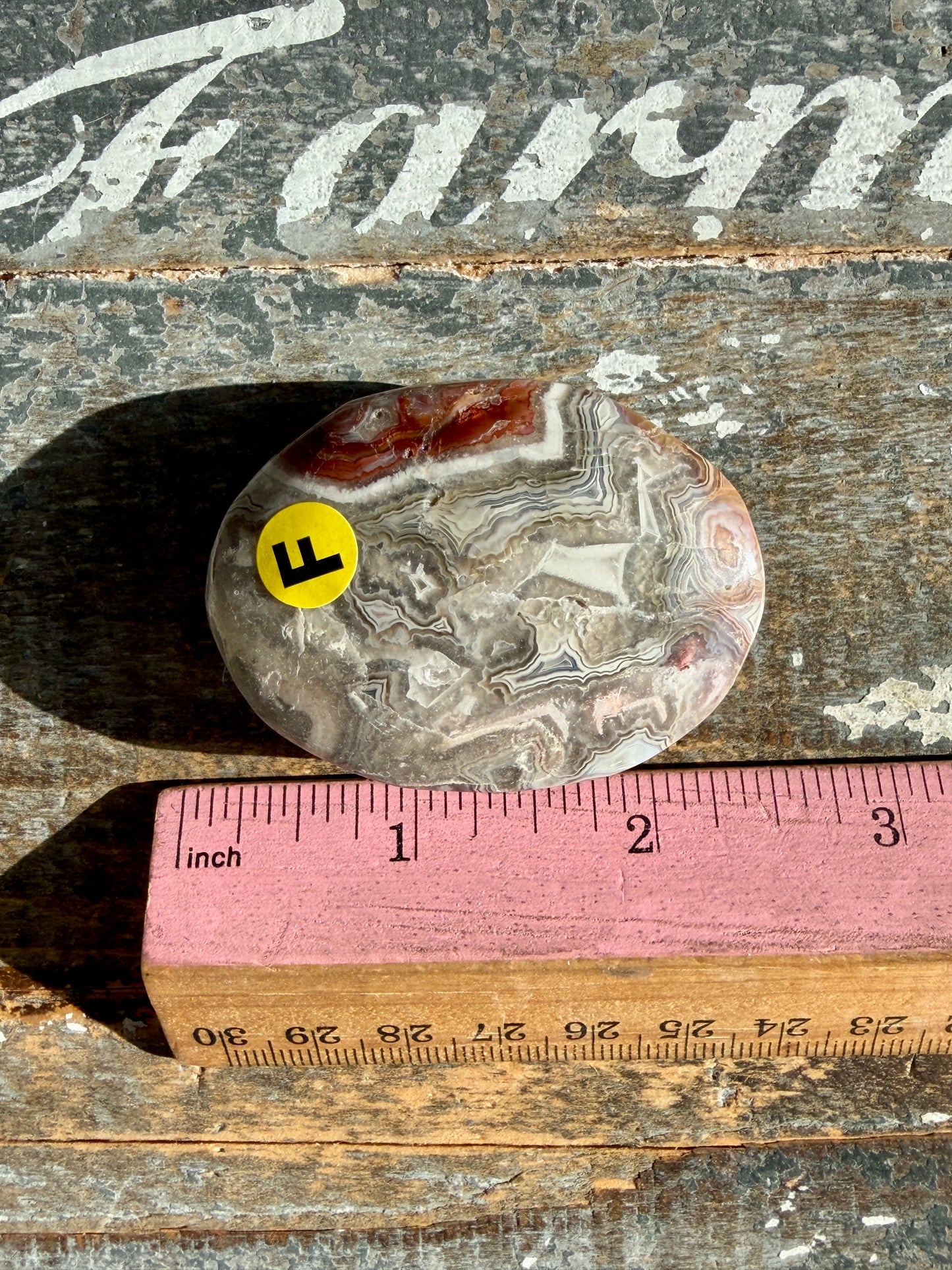 Gorgeous Crazy Lace Agate Palm Stone | Opt F