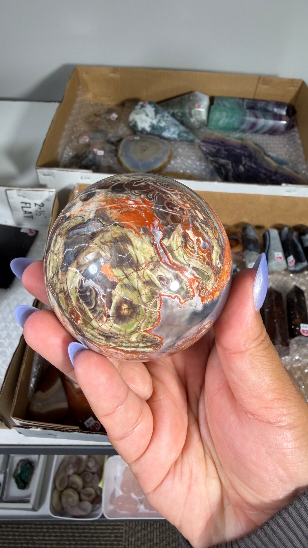 Gorgeous Money Agate Sphere | Opt 84