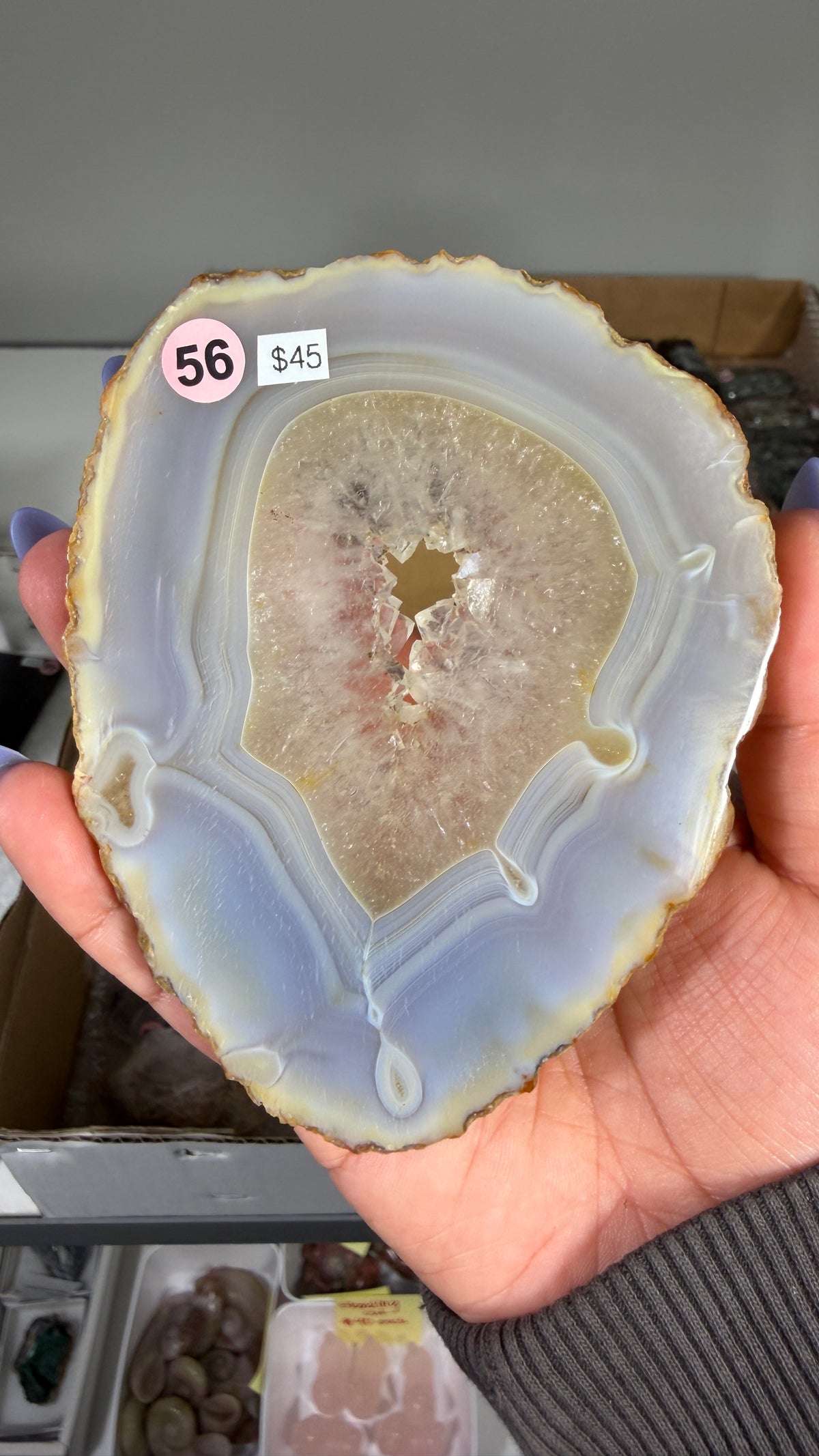 Gorgeous Agate Geode Slice | Opt 56