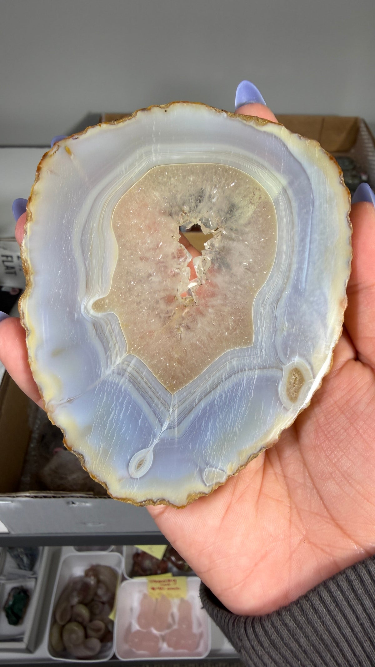 Gorgeous Agate Geode Slice | Opt 56