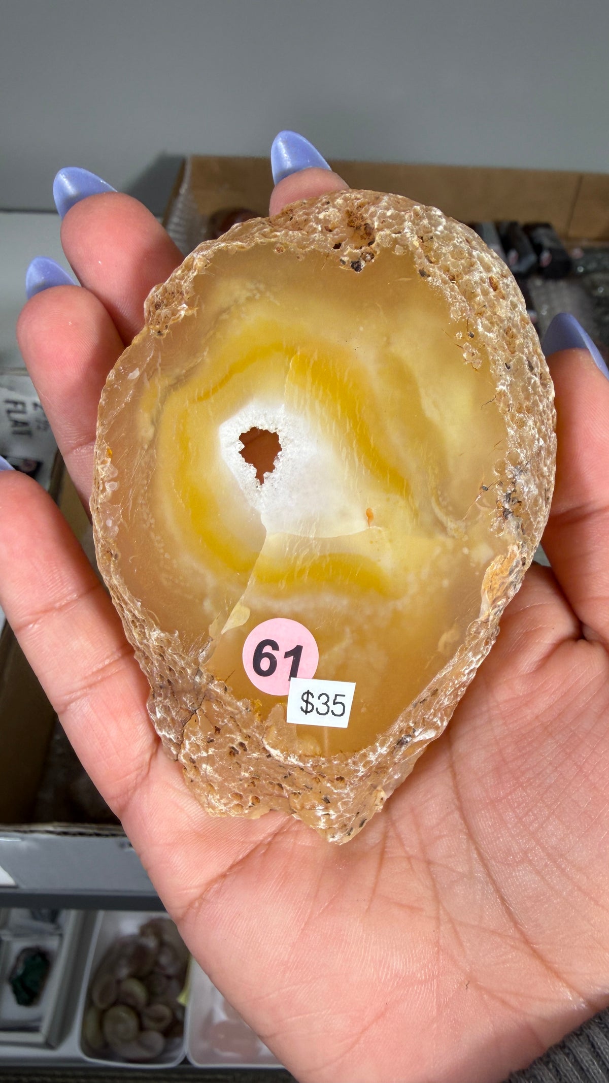 Gorgeous Agate Geode Slice | Opt 61