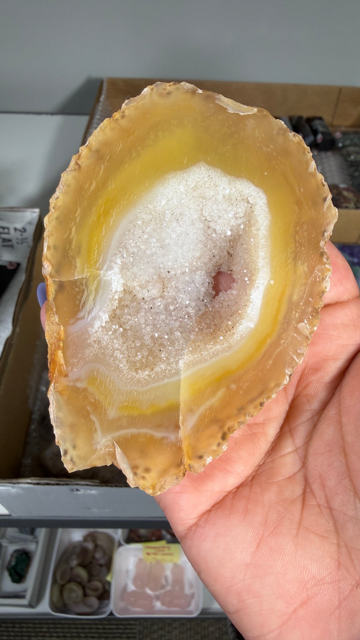 Gorgeous Agate Geode Slice | Opt 61