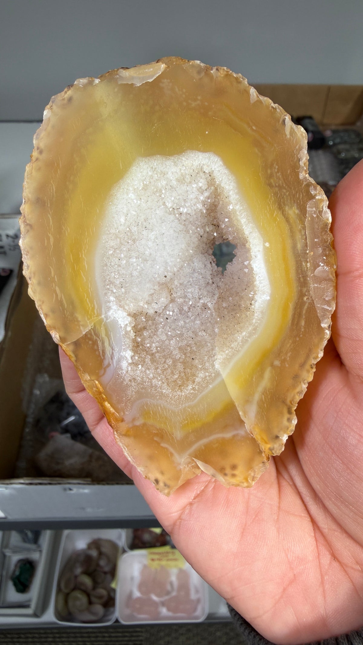 Gorgeous Agate Geode Slice | Opt 61
