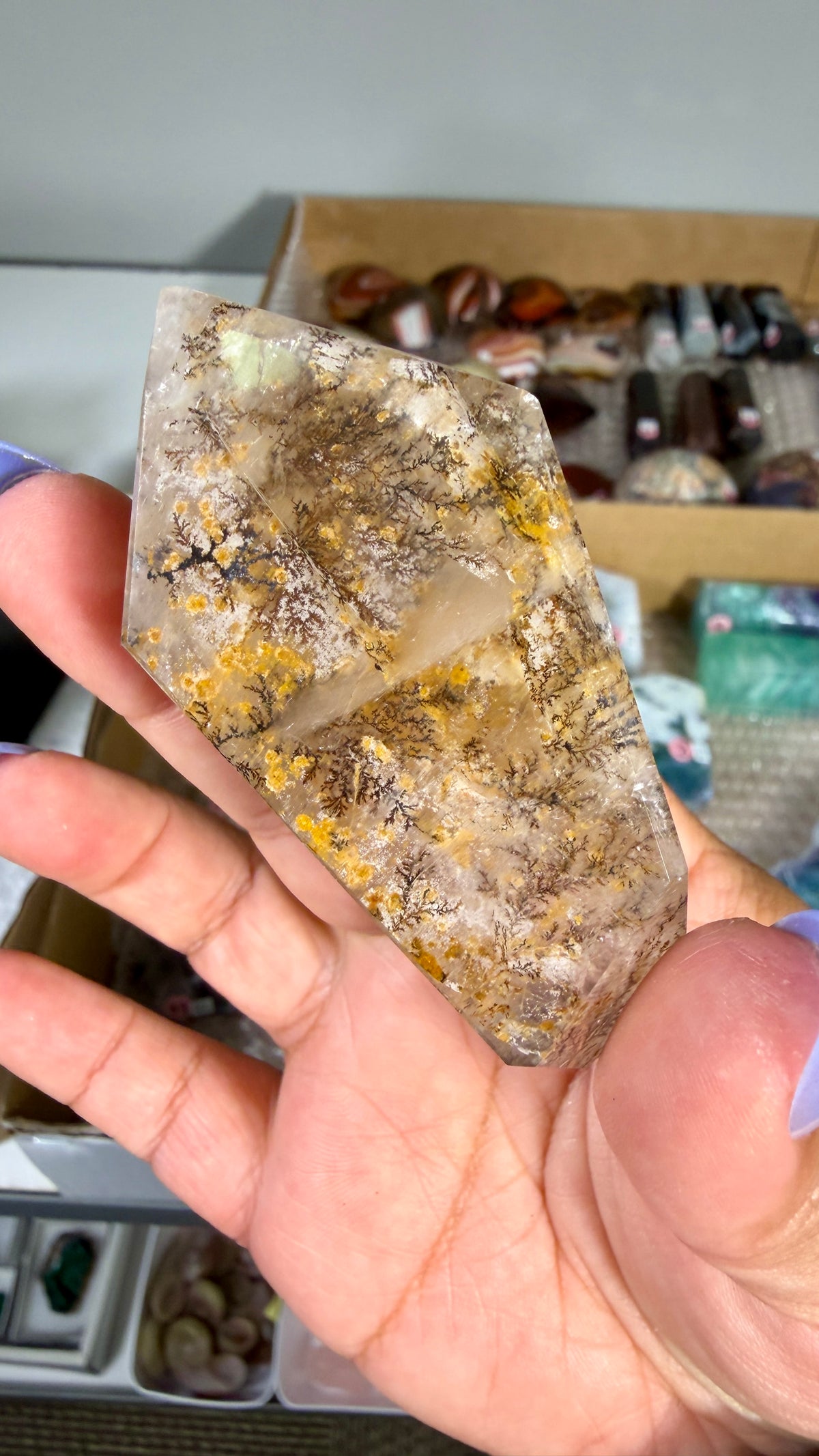 Gorgeous Dendritic Quartz Freeform  | Opt 54