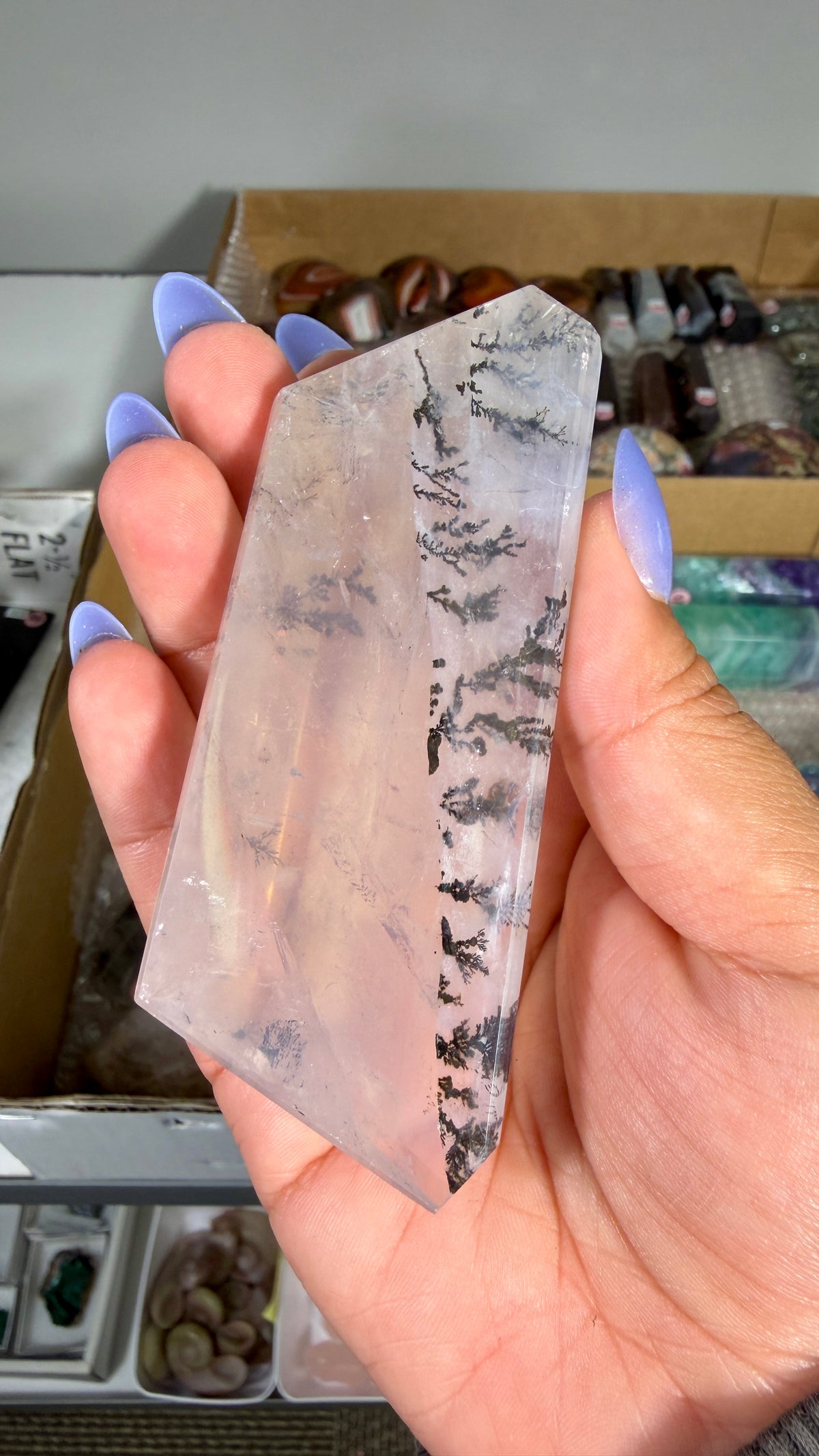 Gorgeous Dendritic Quartz Freeform  | Opt 55