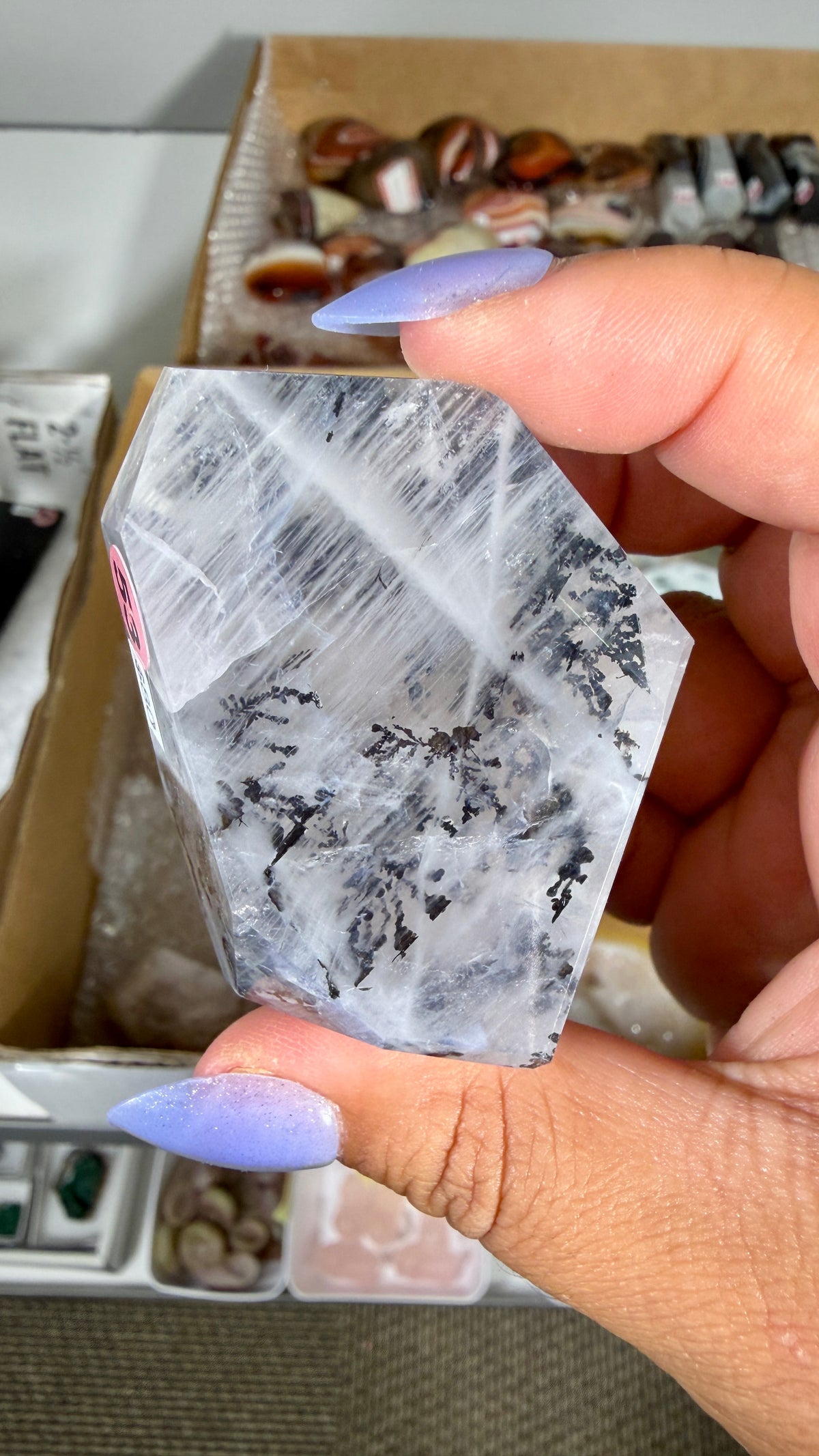 Gorgeous Dendritic Quartz Freeform  | Opt 53