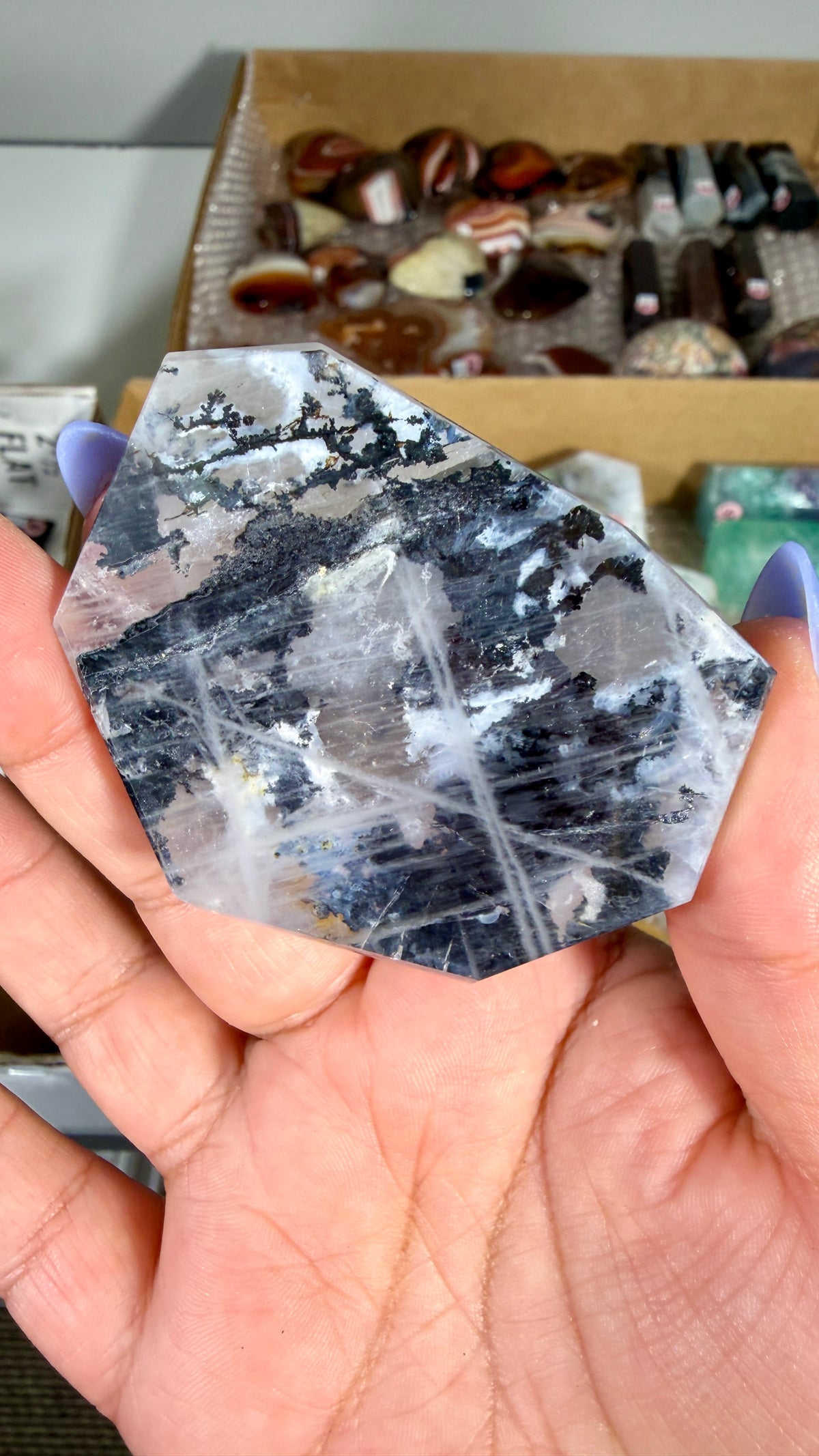 Gorgeous Dendritic Quartz Freeform  | Opt 53