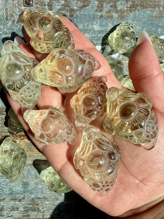 One (1) Natural Citrine Money Toad | Intuitively Chosen