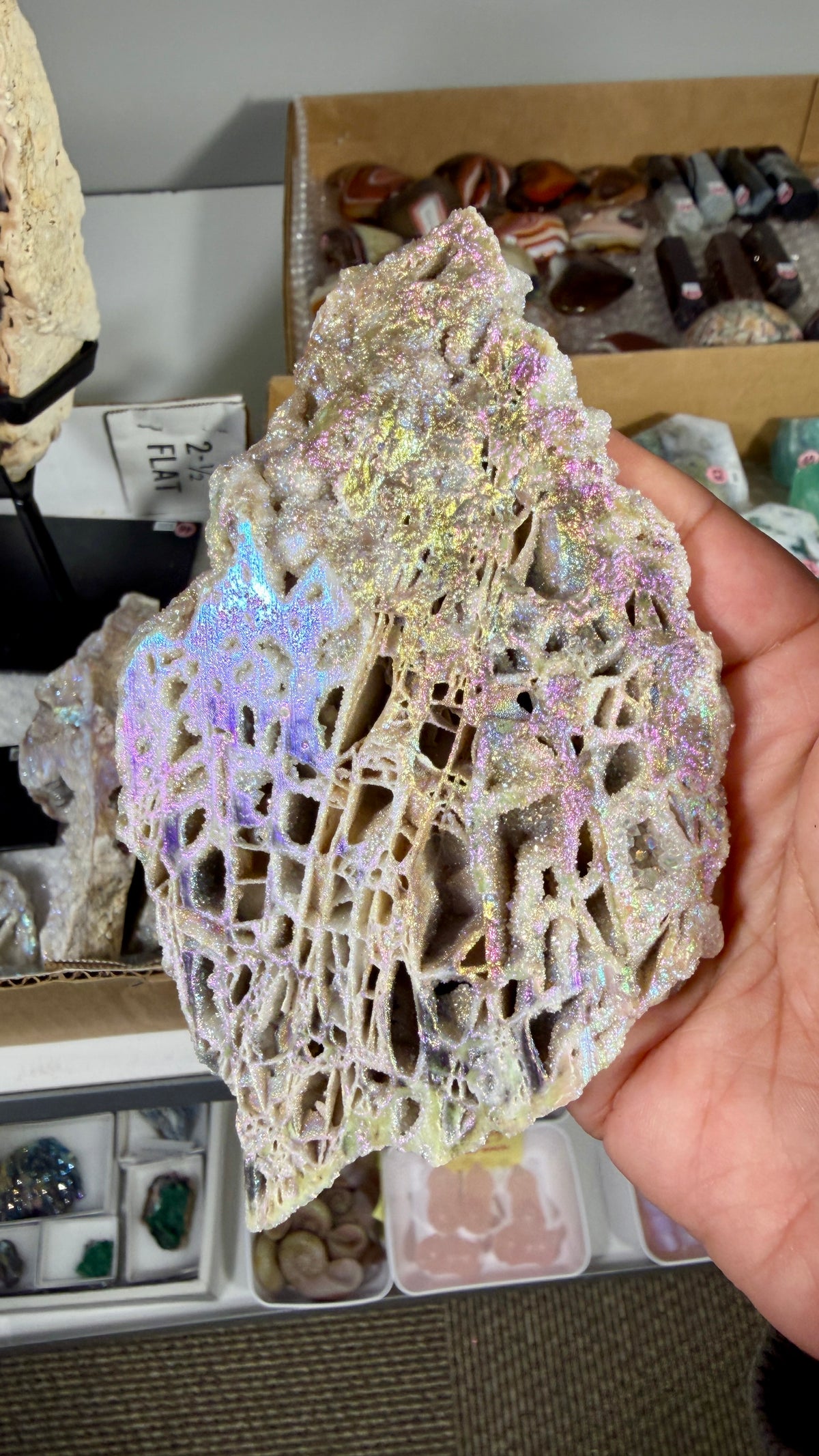 Gorgeous Aura Chalcedony (Sphalerite) | Opt 100