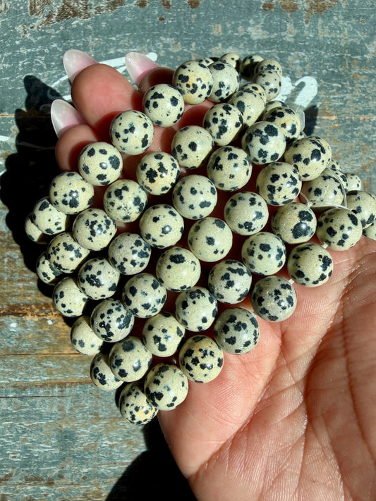 One (1) Dalmatian Jasper Bracelet | Intuitively Chosen