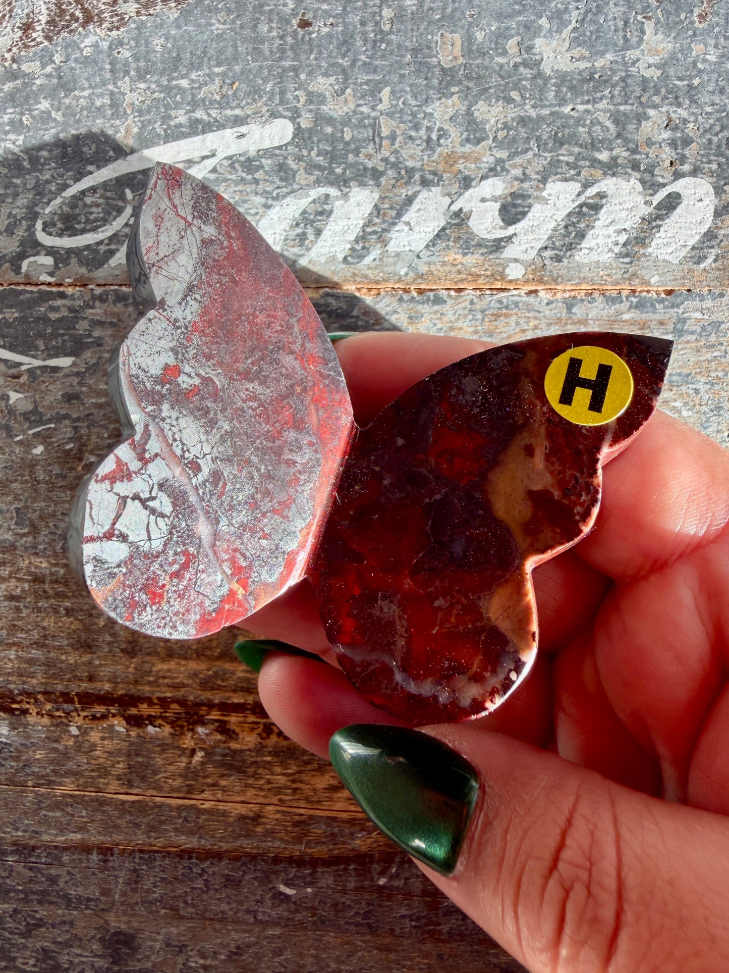 Gorgeous Jaspillite Butterfly | Opt H