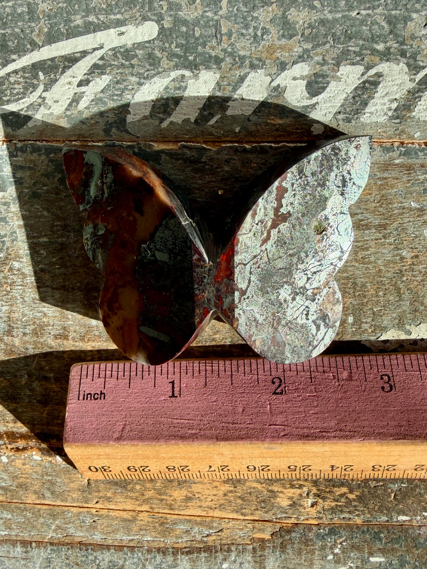 Gorgeous Jaspillite Butterfly | Opt H