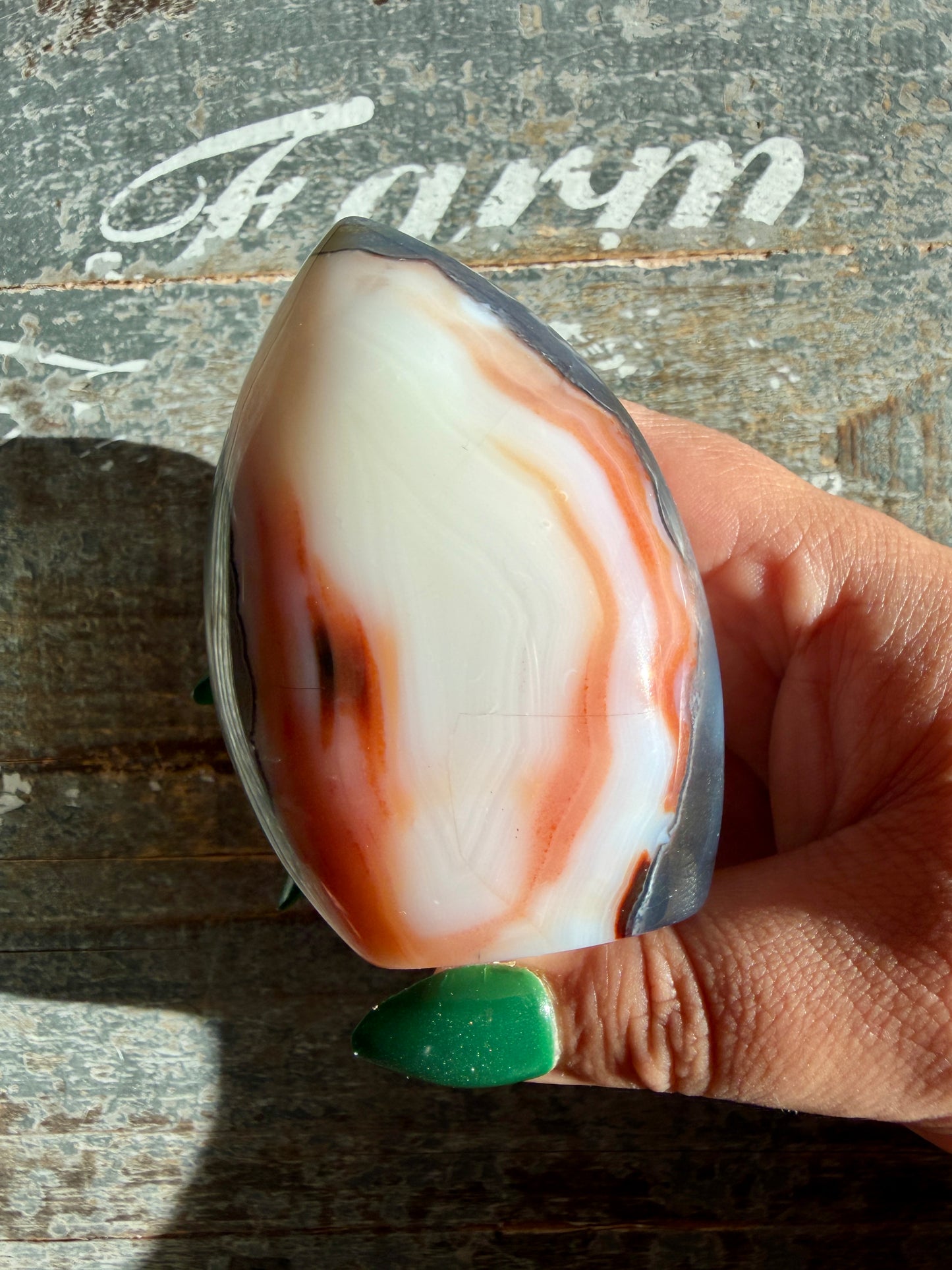 Gorgeous Carnelian + Orca Agate Flame | Opt Z