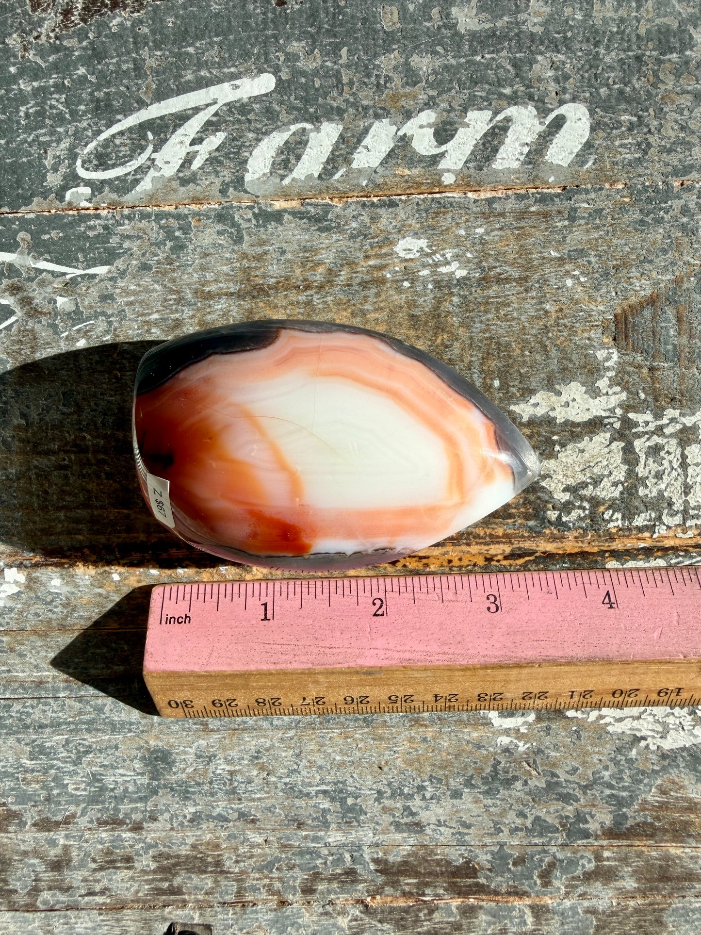 Gorgeous Carnelian + Orca Agate Flame | Opt Z