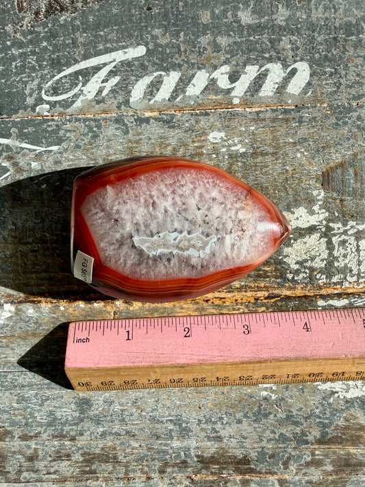 Gorgeous Carnelian + Orca Agate Flame | Opt FG | Can't Stand