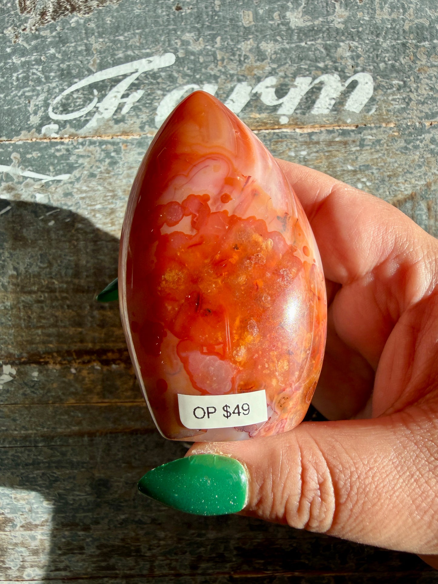 Gorgeous Carnelian + Orca Agate Flame | Opt OP