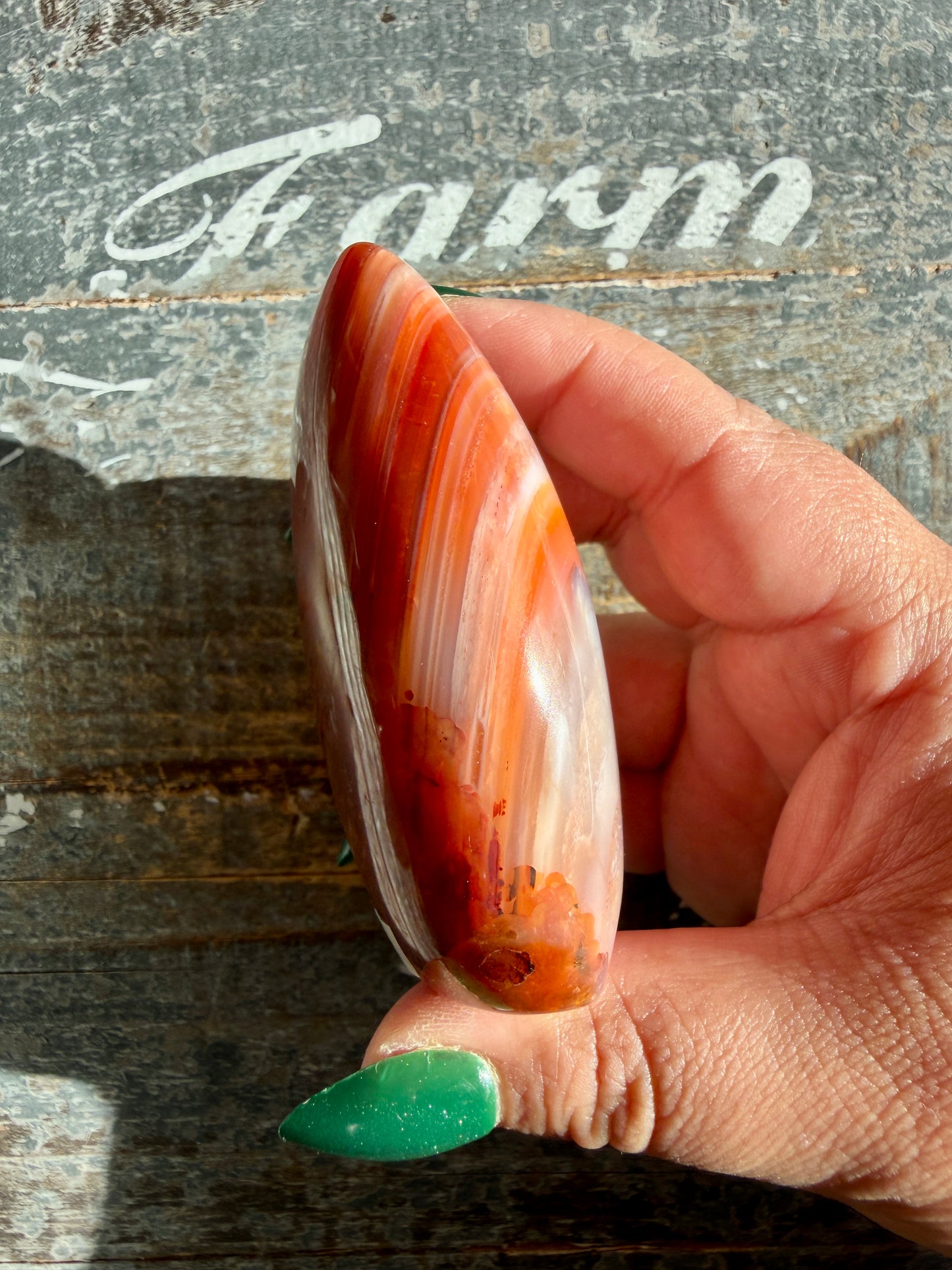 Gorgeous Carnelian + Orca Agate Flame | Opt OP
