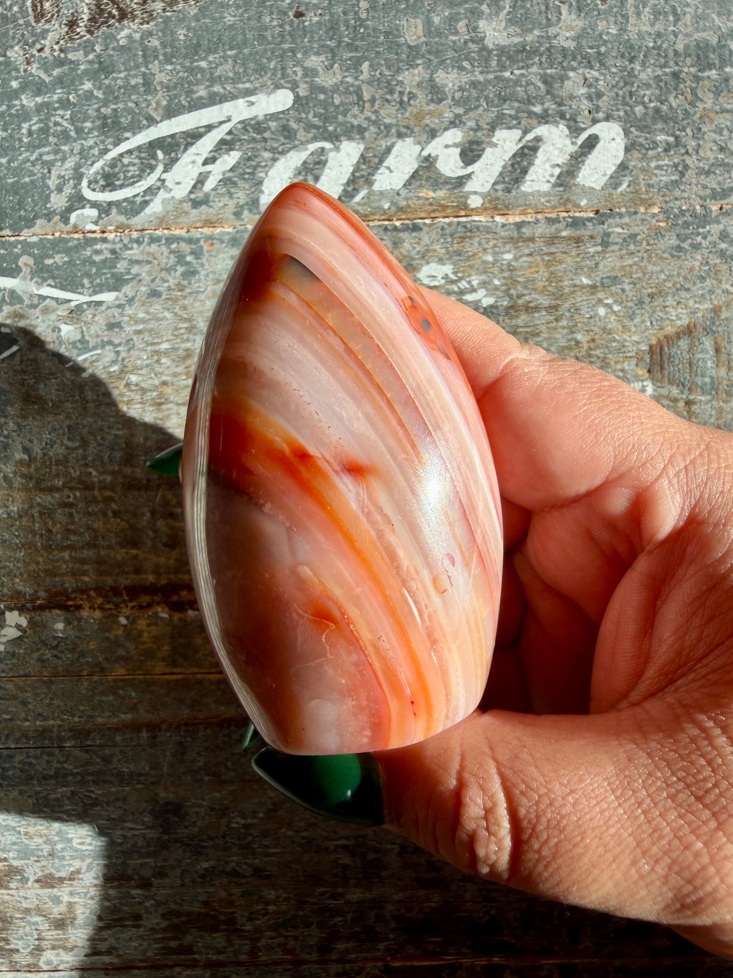 Gorgeous Carnelian + Orca Agate Flame | Opt OP
