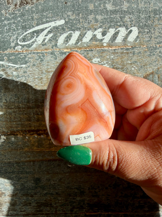 Gorgeous Carnelian + Orca Agate Flame | Opt BC