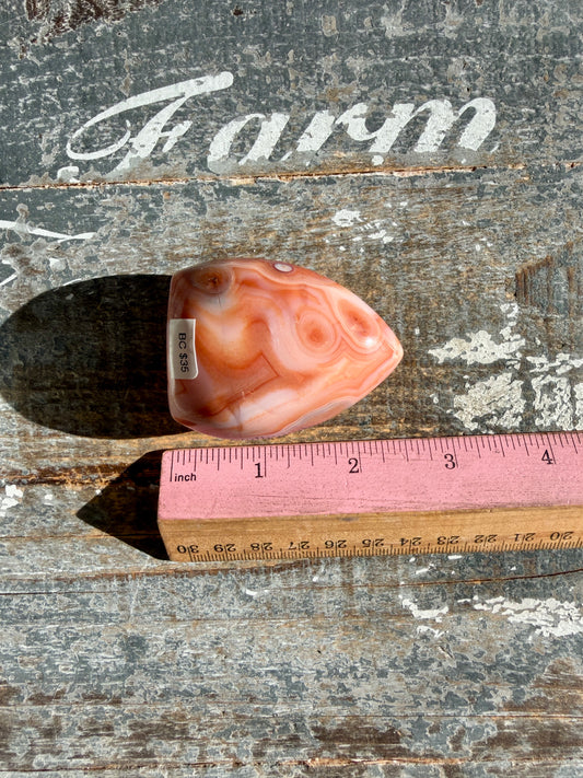 Gorgeous Carnelian + Orca Agate Flame | Opt BC