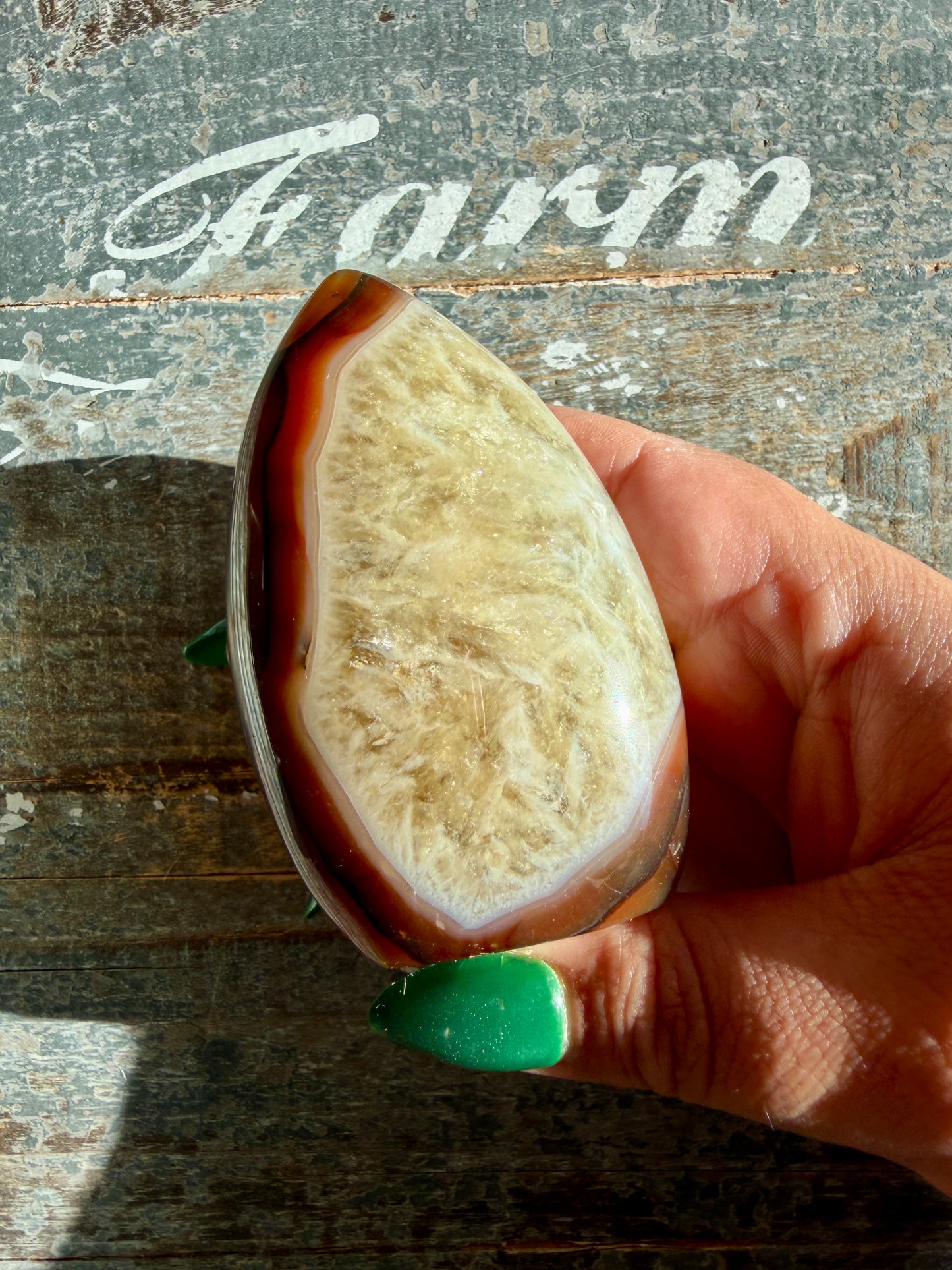 Gorgeous Carnelian + Orca Agate Flame | Opt SU