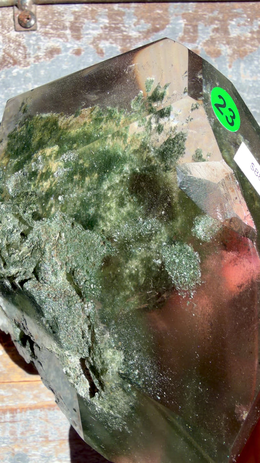 Gorgeous Himalayan Quartz with Chlorite | India | Opt 23 (VIDEO)