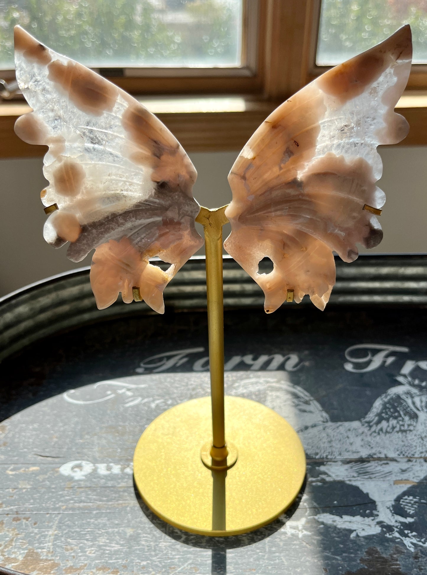 Gorgeous Hand Carved Flower Agate in Quartz Wings on Gold Stand