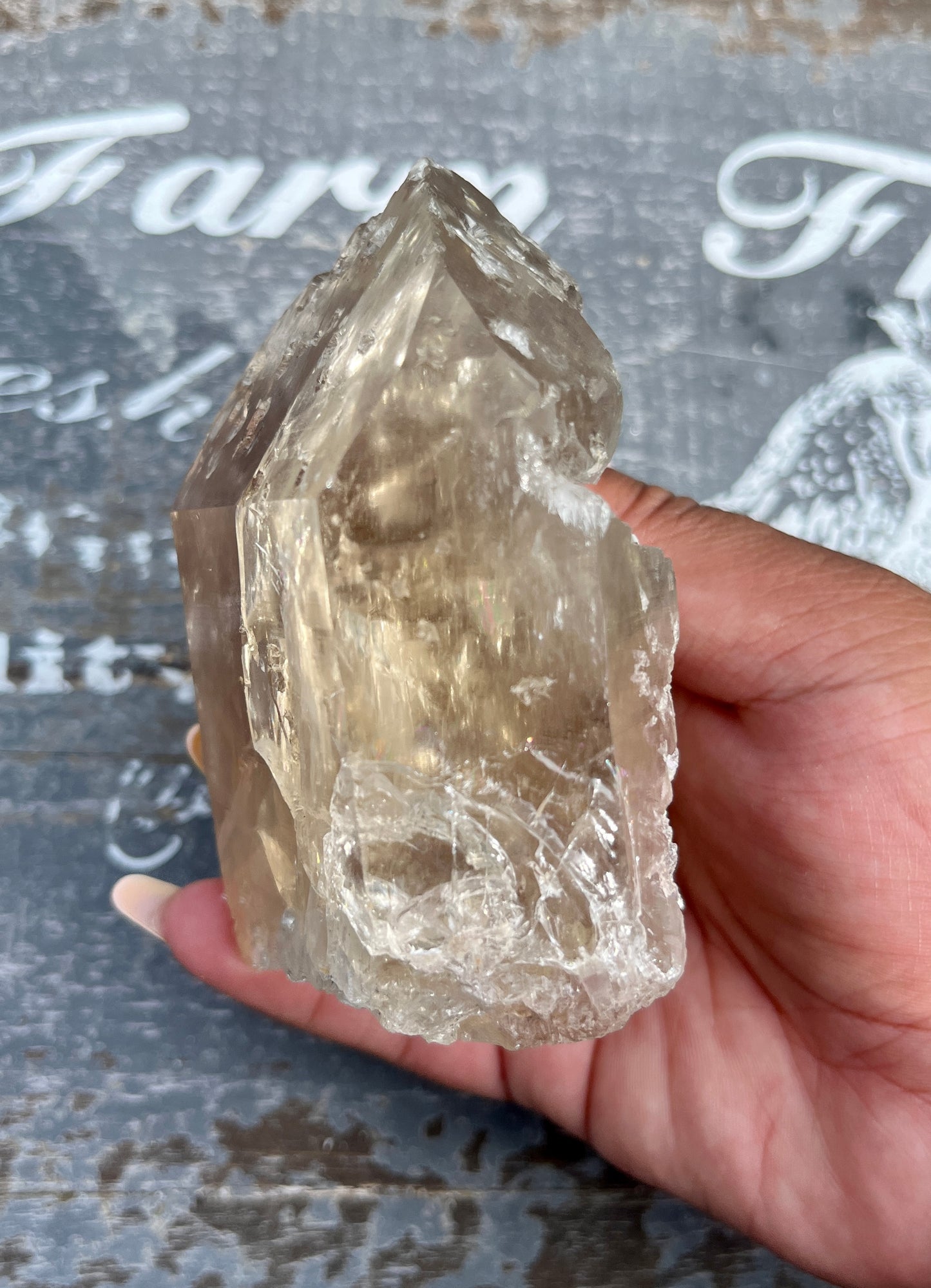 Gorgeous Natural Genuine Citrine point with Lepidolite from Brazil!